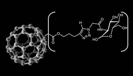 Glyconanoparticles resulting from fullerene spheres chemically coupled to amino sugars