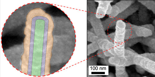 Scanning electron microscope image of virus-templated nanostructures