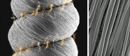 Coils and Yarns of Polymeric Piezoelectric Nanofibers