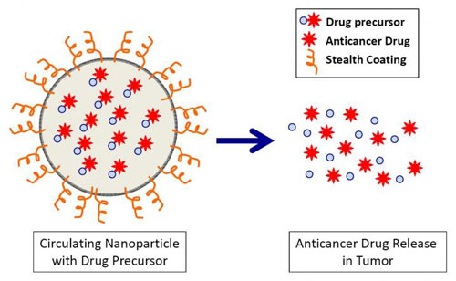 Nanoparticle for Anticancer Drug Delivery