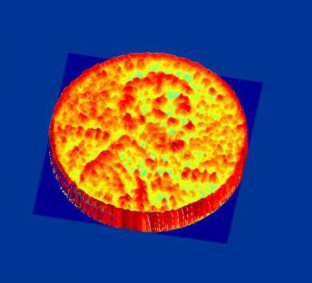 A 3D image produced by the NCI chip