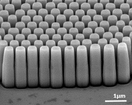 SEM Image of nanostructured GaN