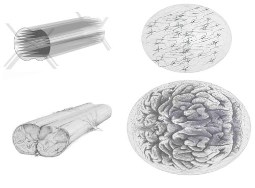 3-D Neural Tissue Construct Designs