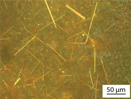 Nanowire Crystals