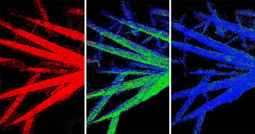 Chemical phase map showing the electrochemical discharge of iron fluoride microwires