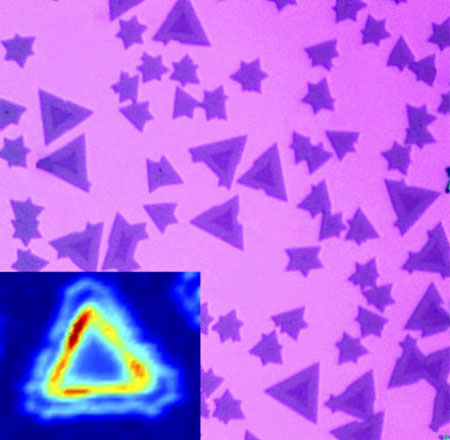 Optical microscope image of triangular-shaped metal-diselenide monolayer hetero-structures