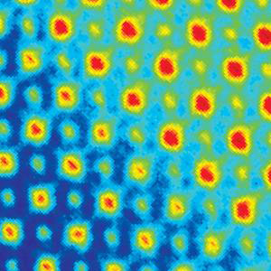 STEM Micrograph of LSMO/PZT