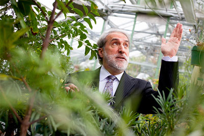 Patterson Rockwood Professor of Energy Daniel Nocera