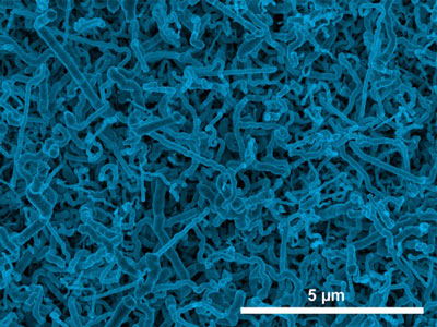 nanowires