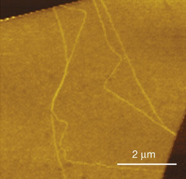 near-field infrared nanoscopy image of bilayer graphene