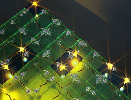 neural network