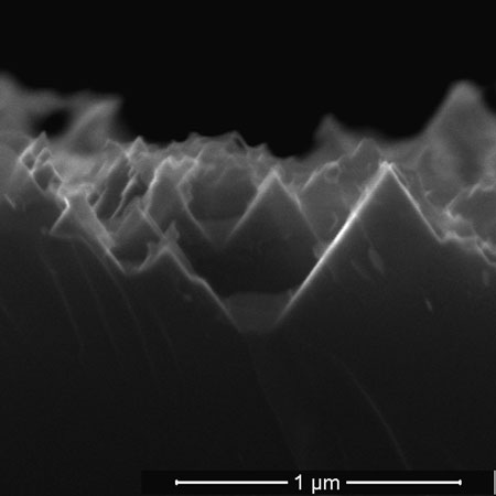 An electron microscope image shows the nanoscale spikes that make up the surface of black silicon
