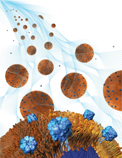 Nanosponge Hydrogel