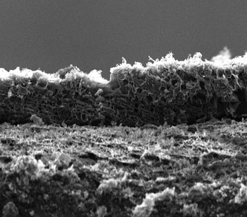 Electron microscope image of laser-induced graphene