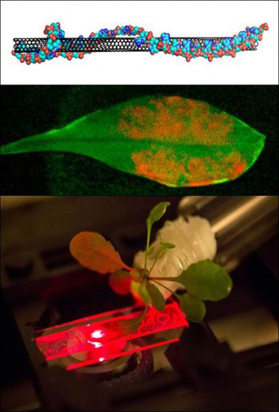 Nanobionic Leaf