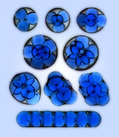Mesoscale Atoms