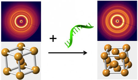 Engineering Phase Changes in Nanoparticle Arrays