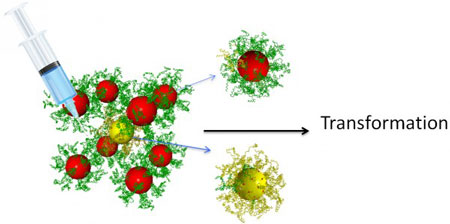 Injecting different kinds of reprogramming DNA strands can change the interparticle interactions