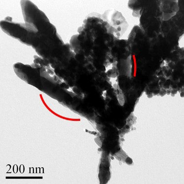 A transmission electron microscope image of the newly synthesized CoFe2C rods that contain an assembly of nanoparticles