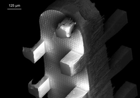 A scanning electron micrograph of a microfiber emitters, showing the arrays of rectangular columns etched into their sides