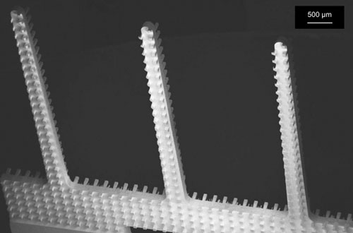 A scanning electron micrograph of a microfiber emitters, showing the arrays of rectangular columns etched into their sides
