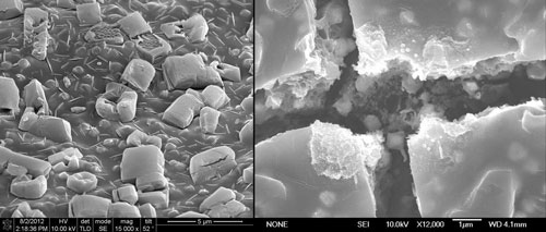 photographic paper before (left) and after (right) exposure seen through a scanning electron microscope