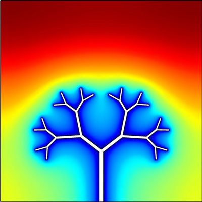 Tree-shaped heat invasion