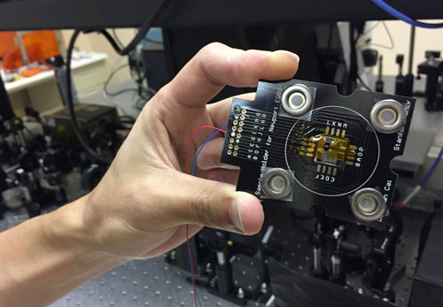 Metamaterial Waveguide