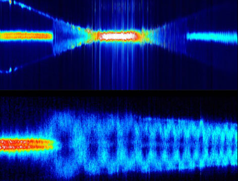 Rayleigh scattering reveals light propagation in optical nanfibers