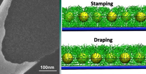 Janus-like Nanoparticle Membranes