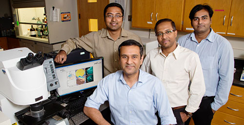 University of Illinois postdoctoral researcher Prabuddha Mukherjee, left, bioengineering professors Rohit Bhargava and Dipanjan Pan, and postdoctoral researcher Santosh Misra