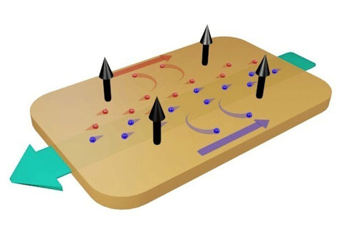  The charge carriers (blue: electrons, red: holes) of a conductor are deflected from their original direction of flow (green arrow) by a magnetic field (black arrows)