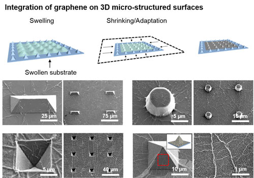 graphene integration to a variety of different microstructured geometries