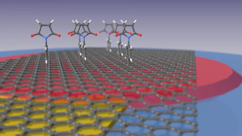 Graphene Surface with biomulecules attached