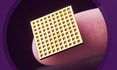 implantable, wirelessly controlled microchi