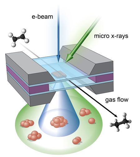 micro-reactor showing the complementary imaging