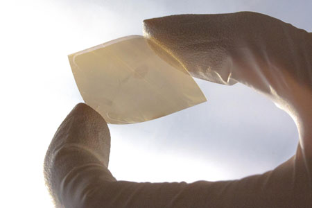 Tungsten Diselinide Thin Film