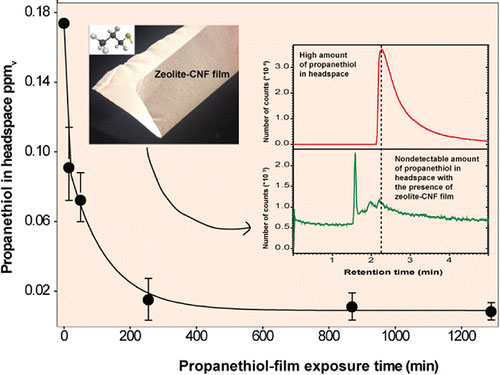 Nanocellulose–Zeolite Composite Films for Odor Elimination