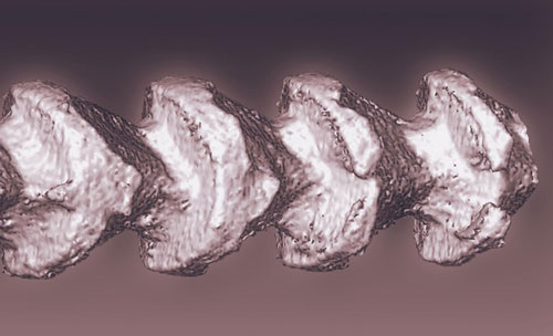 Silicon Spicule