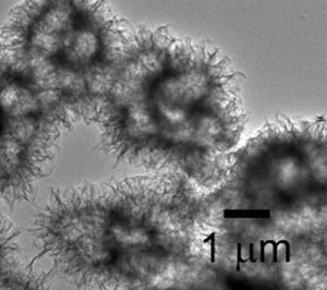 Coral-like nanoplatelets