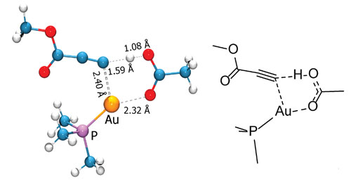 Carboxylic group-assisted proton transfer