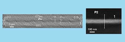 ion-conducting nanochannel