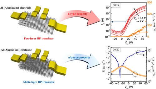 Atomic structure of black phosphorus and n/p-type transistor property of BP transistor