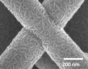 A scanning electron microscopy of two crossing nanowires,covered with tiny AZO-crystals