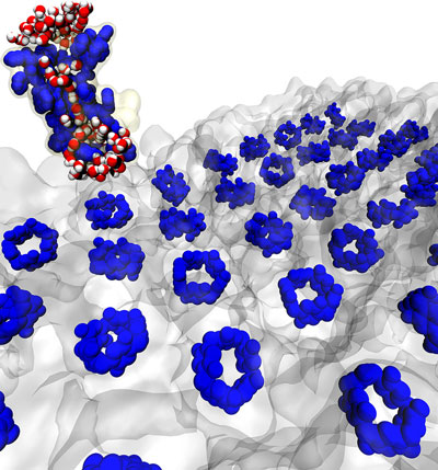 the water channel protein aquaporin