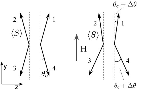 The magnetic structure in fields