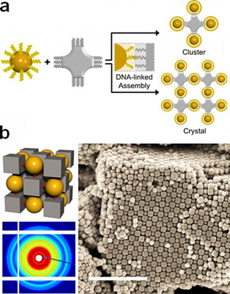 DNA-linked nanoparticle assembly