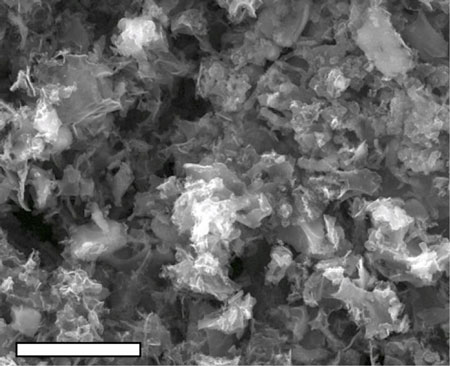 A scanning electron microscope image shows cobalt-infused metal oxide-laser induced graphene