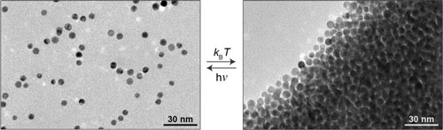 nanoparticles in a light-sensitive medium scatter in the light