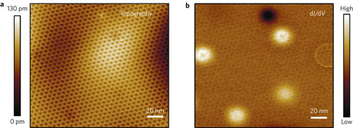STM topographic image of a graphene/BN area
